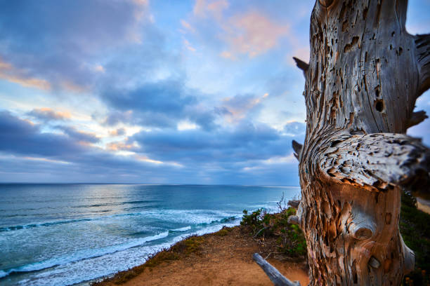 istock Carlsbad Cliffs Sunset on California Beach 1012100384