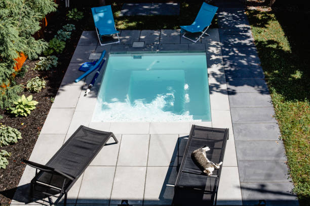 istock Cat lying down on a deck chair  near a swimming pool 1012103050