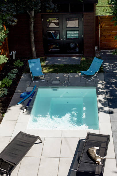 istock Cat lying down on a deck chair  near a swimming pool 1012103194
