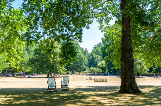 tumbonas en un parque de londres en verano - deck chair summer grass outdoor chair fotografías e imágenes de stock