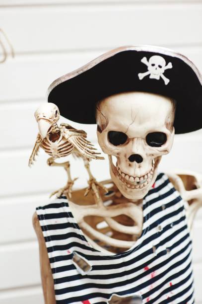 istock High Angle View Of Skeleton With Pirate Hat 1012113702