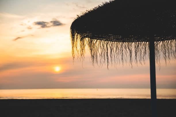 istock Umbrellas on the beach at sunset 1012116818