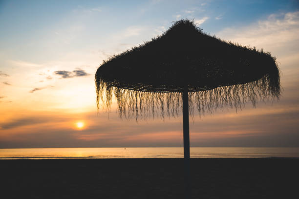 istock Umbrellas on the beach at sunset 1012116860