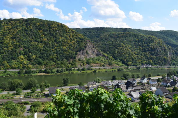 Mosel valley near Kattenes