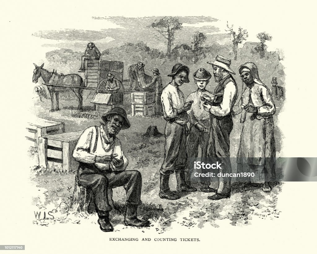 Workers on a strawberry farm, Southern USA, 19th Century Vintage engraving of Workers exhnaging and counting tickets a strawberry farm, Southern USA, 19th Century 19th Century stock illustration