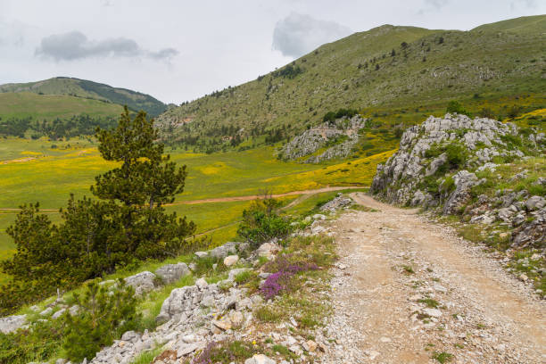 paisagem cênica na montanha albanês, atração do parque nacional. - 3097 - fotografias e filmes do acervo