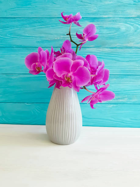istock vase orchid on a wooden background 1012129642