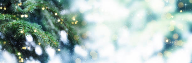 istock Closeup of Christmas-tree background 1012133478