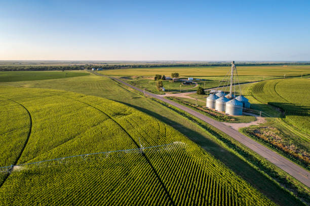 vista aérea del campo de maíz - tractor green farm corn fotografías e imágenes de stock