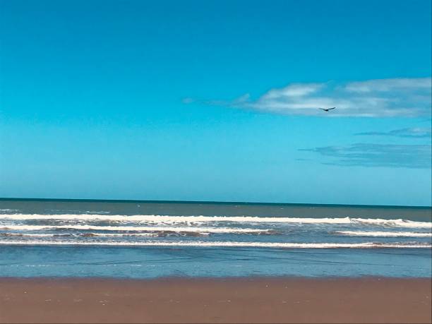 istock Beach Christchurch, Nz 1012145724