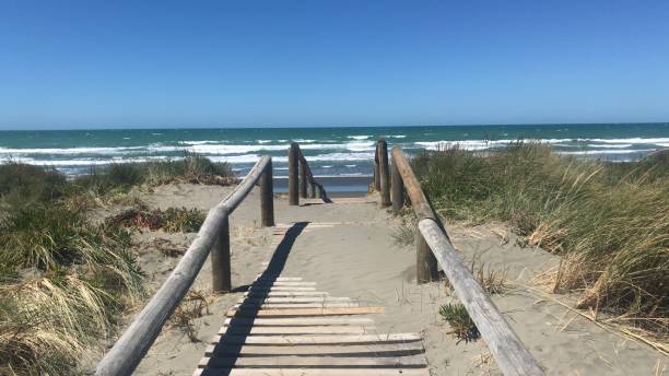 istock Beach Christchurch, Nz 1012145728