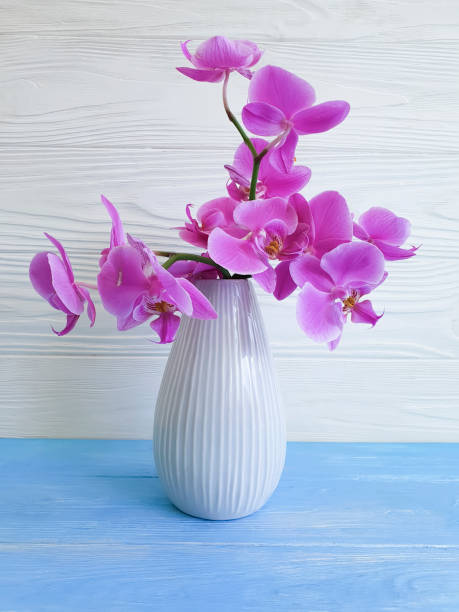 istock vase orchid on a wooden background 1012145900