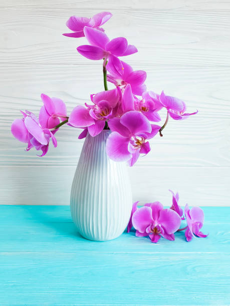 istock vase orchid on a wooden background 1012150824