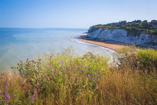 istock Botany Bay UK Kent 1012172900