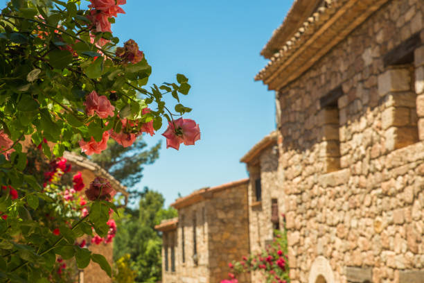 istock Siurana Village, Spain 1012172970