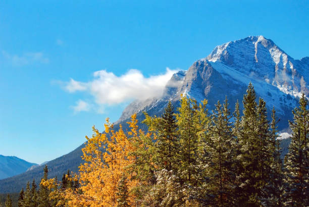 istock Southern Alberta Crowsnest Mountain in autumn 1012192878