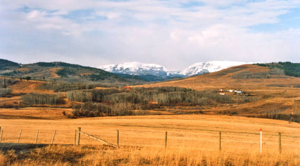 terra de exploração agrícola sul de alberta pradaria no final do outono - alberta prairie farm fence - fotografias e filmes do acervo