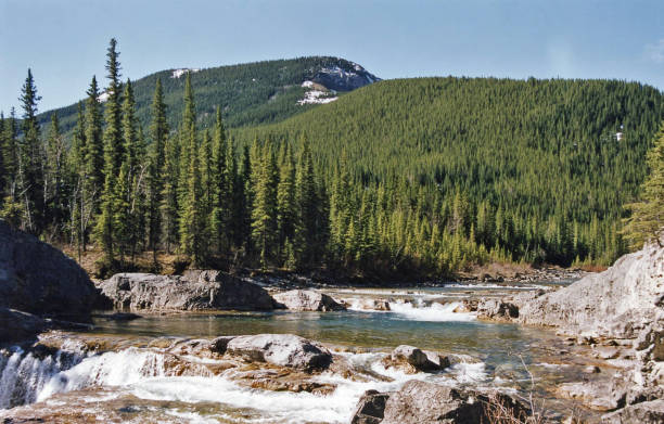 istock Sheep River in Southern Alberta with surrounding forest 1012194934