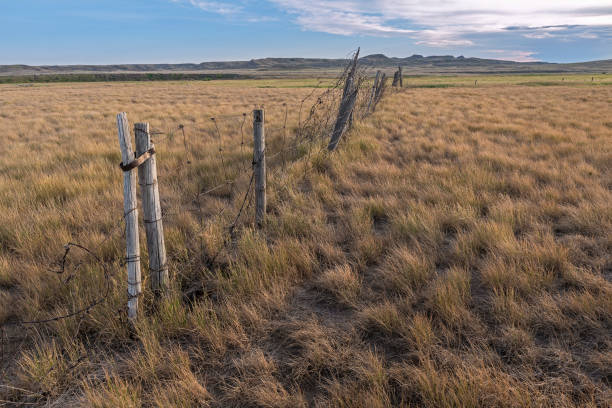istock Fence in Grasslands National Park 1012202954