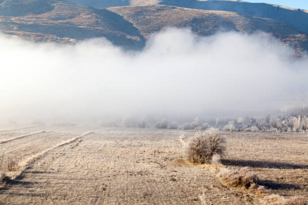 istock Winter landscape with fog 1012205834