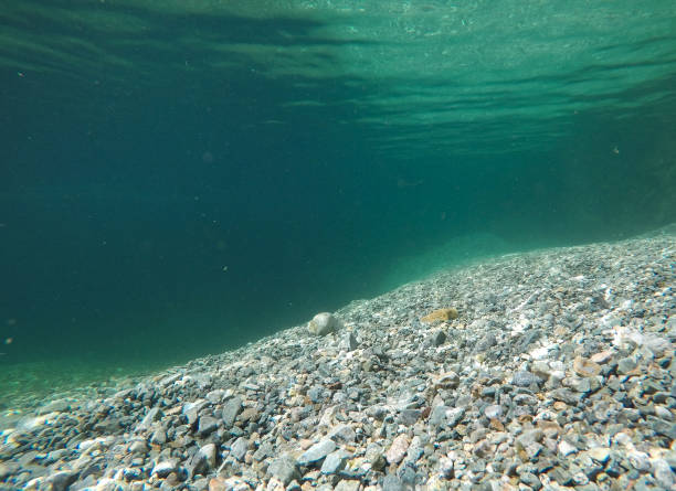 istock Underwater Clear River Water and Rocks 1012211120