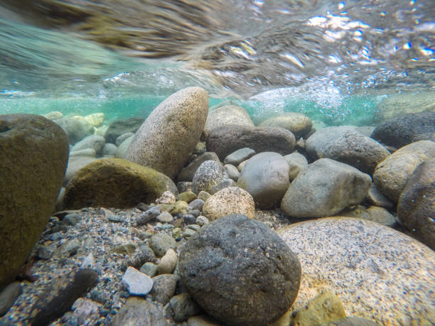 istock Underwater Clear River Water and Rocks 1012211182