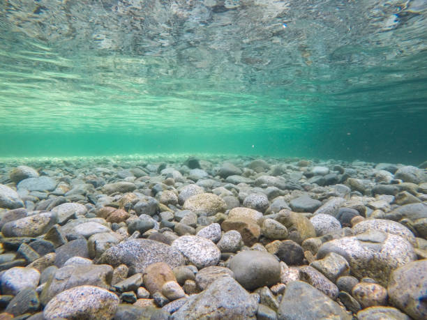istock Underwater Clear River Water and Rocks 1012211200