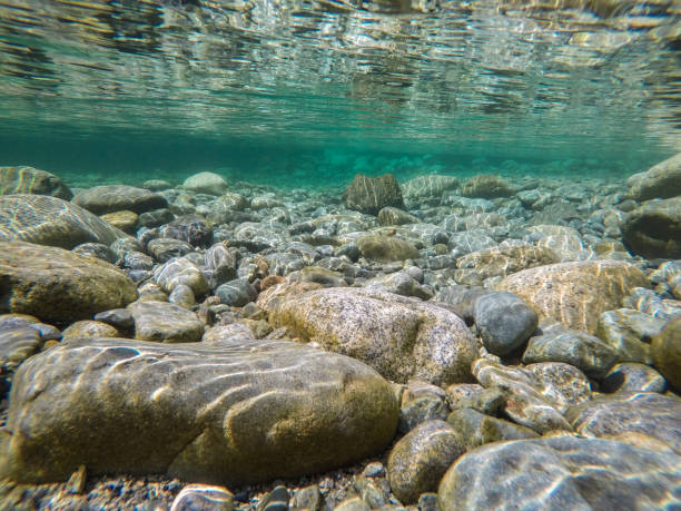 istock Underwater Clear River Water and Rocks 1012211222