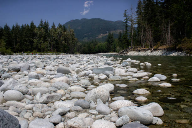 istock Clear Flowing River Water over Rocks in Forest 1012213382
