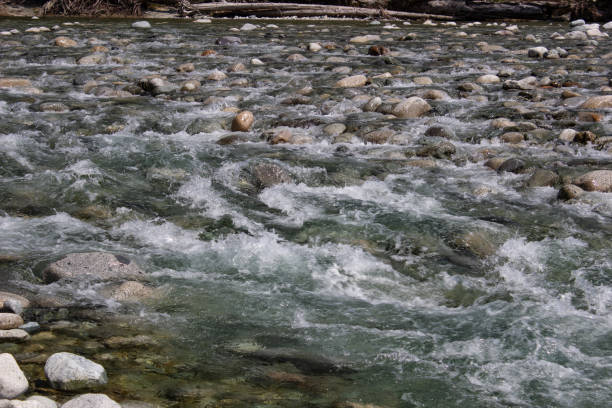 istock Clear Flowing River Water over Rocks in Forest 1012213396
