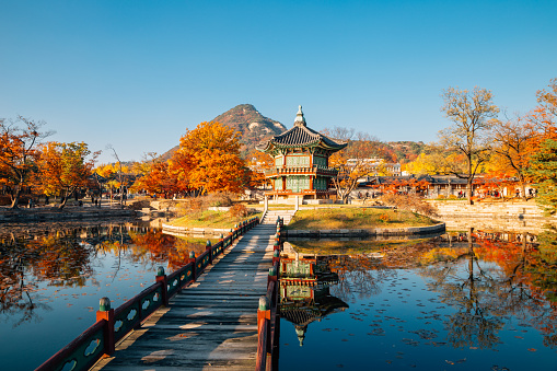 Gyeongbokgung Palace Hyangwonjeong with autumn maple in Seoul, Korea