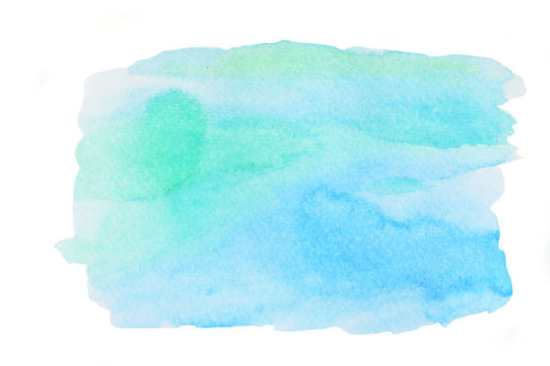 istock Illustration watercolor hand draw and painted on paper 1012233326