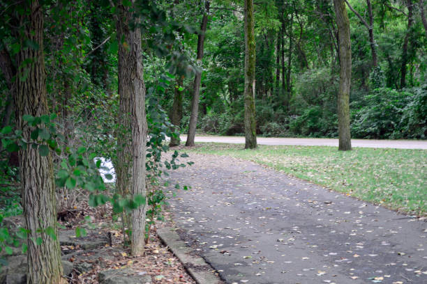 istock Intersection of pathway and park road 1012250382