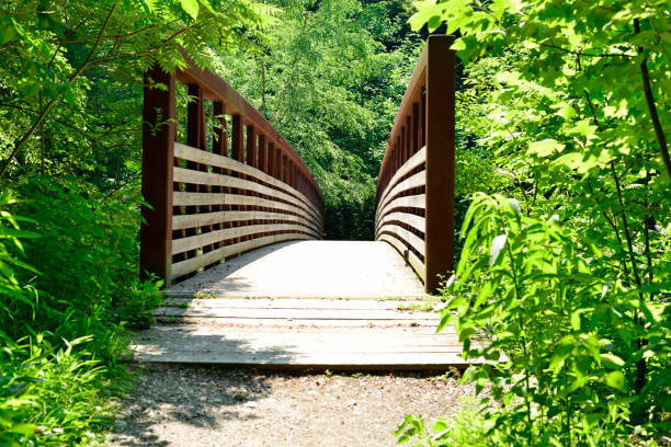 istock Iron bridge crossing creek in the forest 1012257808