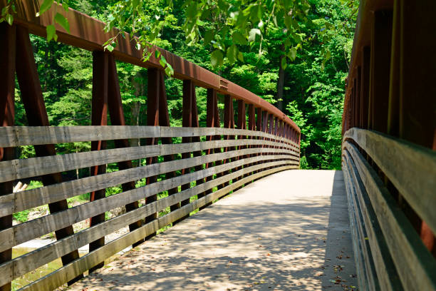 istock Iron bridge crossing creek in the forest 1012257880