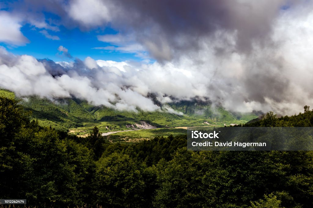 Mt. St. Helens area foggy cloudy forest valley with river Mt. St. Helens area foggy cloudy forest valley with river and bank Valley Stock Photo