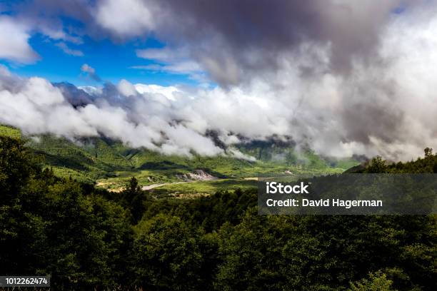 Mt St Helens Area Foggy Cloudy Forest Valley With River Stock Photo - Download Image Now