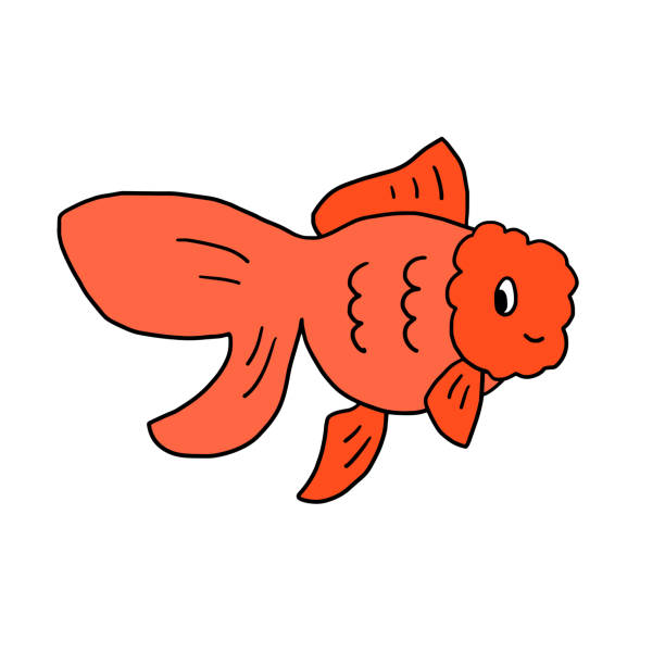 Oranda Svg 60+ Oranda Goldfish Stock Illustrations, Royalty-Free Vector Graphics ...