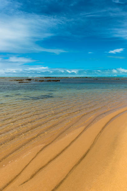 istock Praia do Espelho, Porto Seguro (Bahia - Brazil) 1012278294