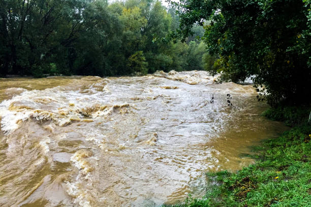 istock Swollen river in flood about to burst it’s banks 1012299774