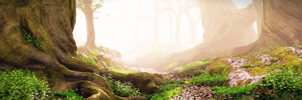 istock path through the woods, magical fantasy forest at sunrise 1012308766