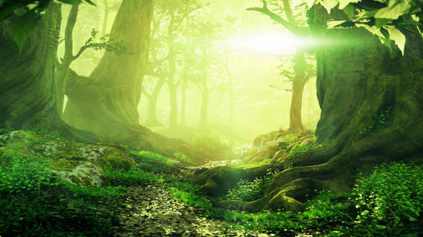 istock path through magical forest at sunrise, beautiful old trees fantasy landscape 1012308992