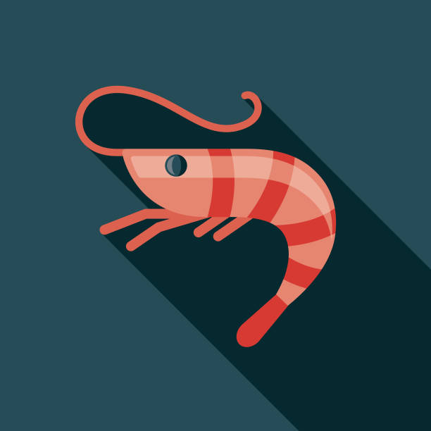 Shrimp Spain Flat Design Icon vector art illustration