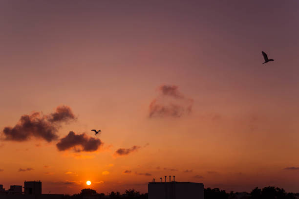 istock Beautiful sunset seen from South India 1012312704
