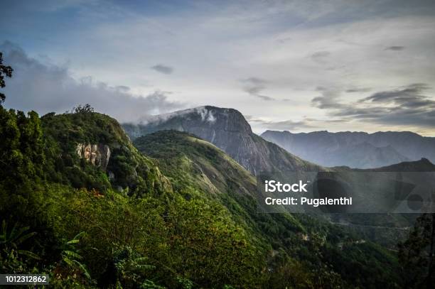 Lush Green Mountain View Of Valparai Stock Photo - Download Image Now - India, Agricultural Field, Asia