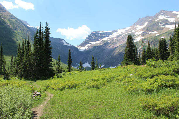 istock Solo  hiking trip to Glacier National Park 1012315014