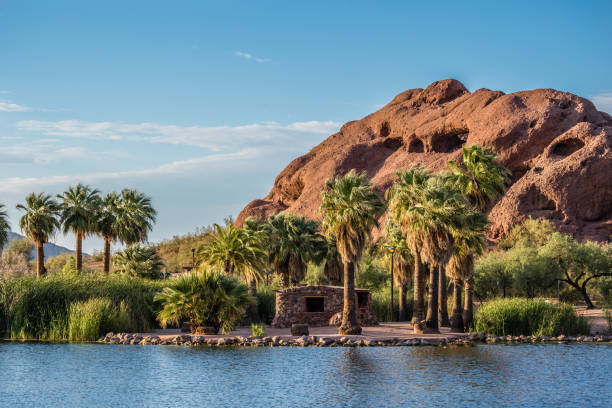 Papago Park The sandstone butte known as Hole-in-the-Rock rises up from behind the reeds and palm trees bordering a pond in Phoenix, Arizona. butte rocky outcrop stock pictures, royalty-free photos & images