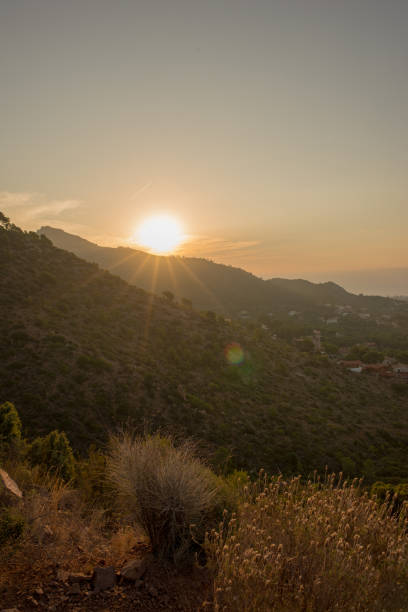 istock The desert of the palms at dawn 1012334510