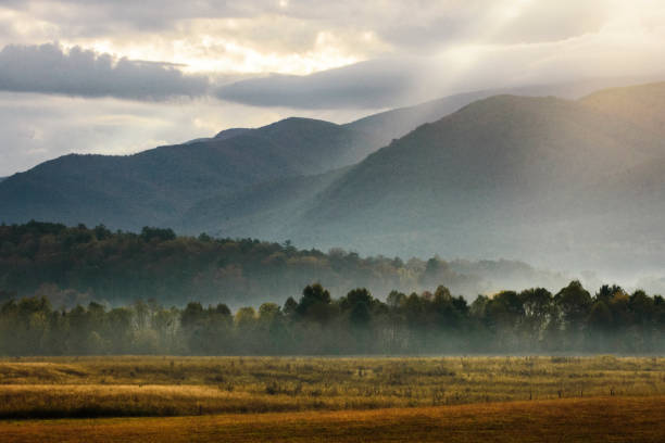 mattina a cades cove - cades cove foto e immagini stock