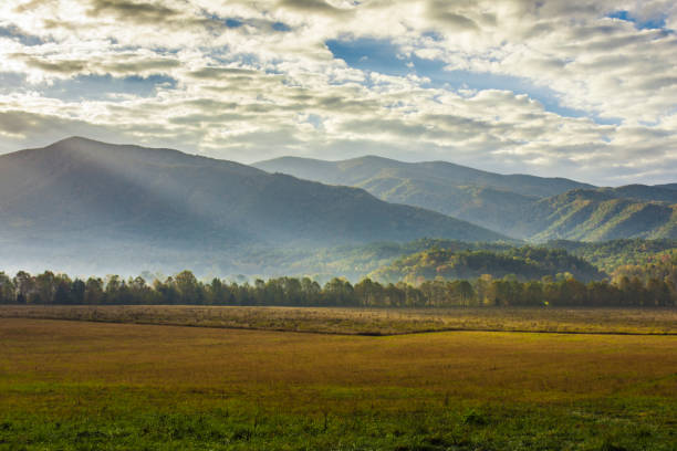 istock Morning in Cades Cove 1012337436